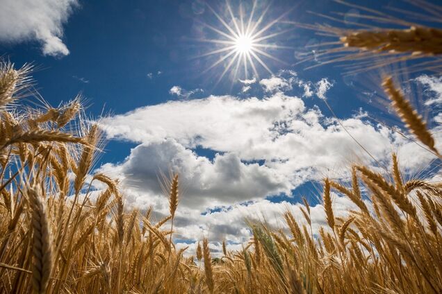 'Не буде спекотним': народний синоптик дав прогноз на літо