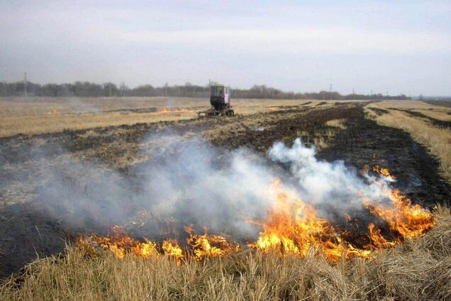 Мінприроди запропоновувало в десятки разів підвищити штрафи за випалювання рослинності