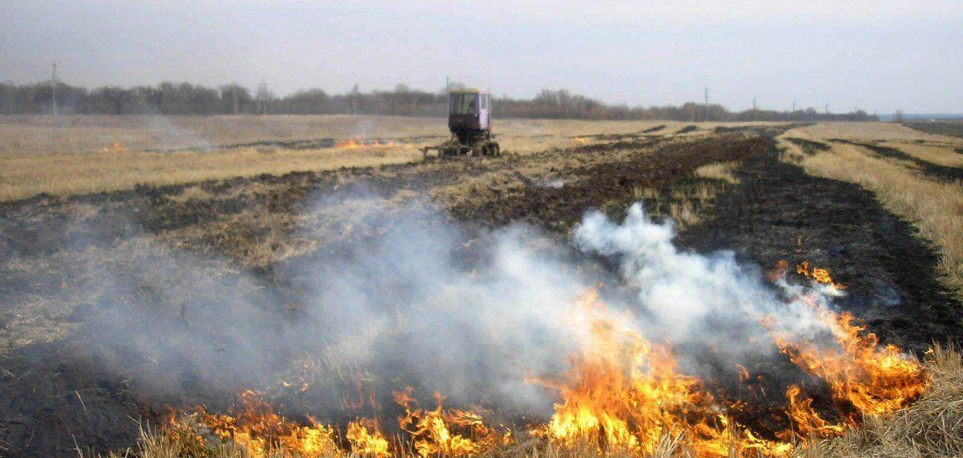 В Украине предложили в десятки раз увеличить штрафы за сжигание листвы
