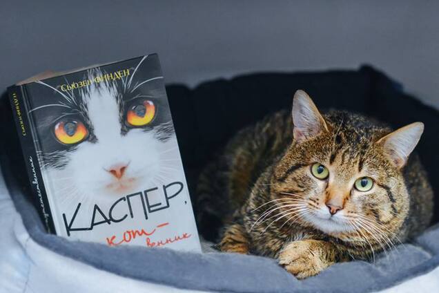 Волонтери проводять книжковий аукціон заради допомоги котам