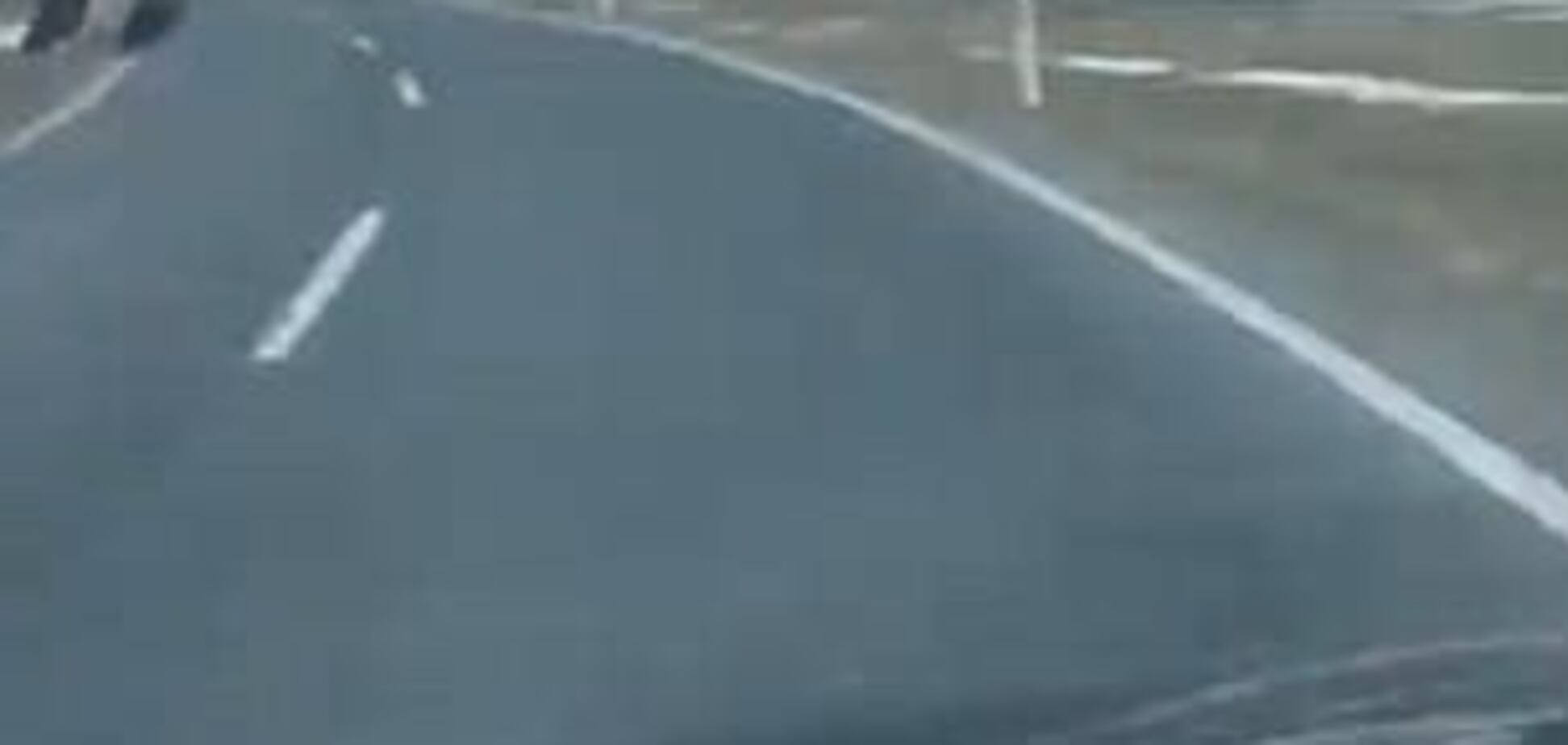 Пересек за секунду: в сети появилось видео с летающим оленем