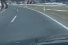 Олень