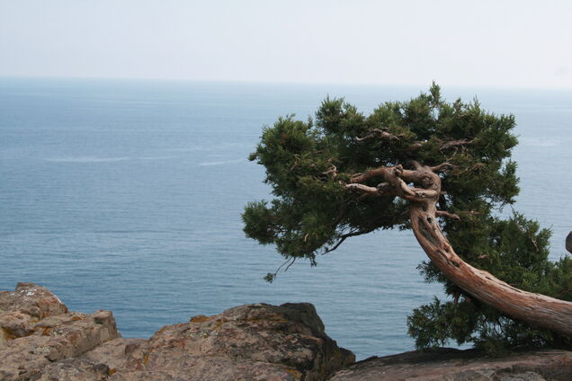 Новости Крымнаша. Опасно быть украинцем в Крыму