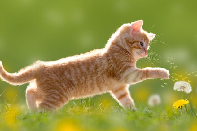 Сухо і до +30: синоптик уточнила прогноз погоди на початок травня