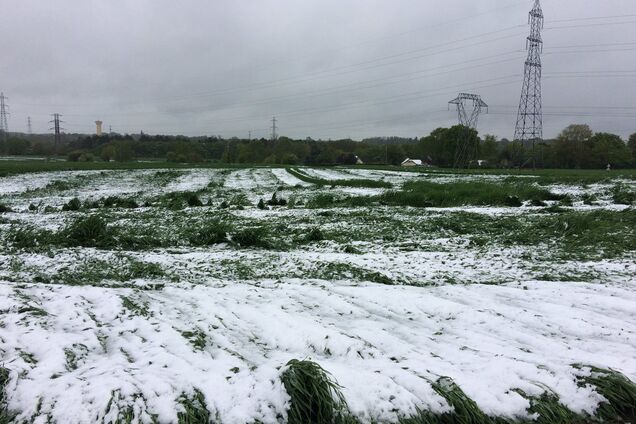 Францію в останній день квітня 'атакував' сніг