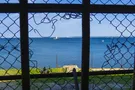 Братцы мои. Наша с вами задача - станцевать на могиле Путина