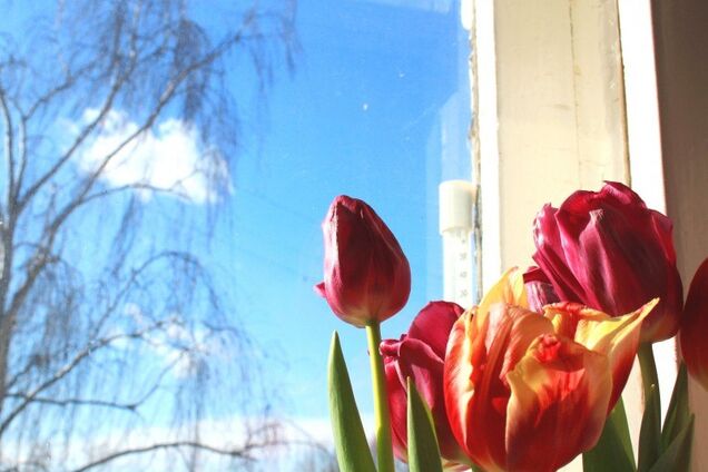 Погода в Україні