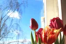 Погода в Украине
