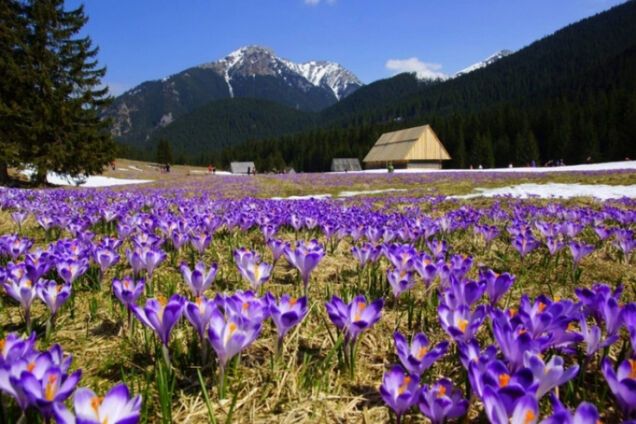 Весна в Україні