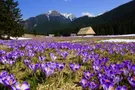 Весна в Украине