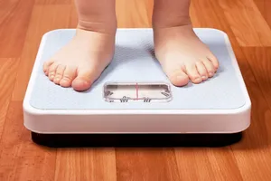 Откуда берется лишний вес: ученые сделали новое открытие