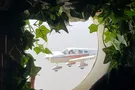 В Одессе пара поженилась на высоте 1000 м