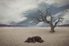 Вымирание животных
