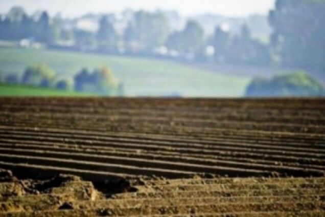 Кабмин передал земли постоянного пользования в собственность фермеров - Мартынюк