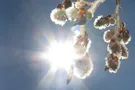 До +22: прогноз погоды на пасхальные выходные