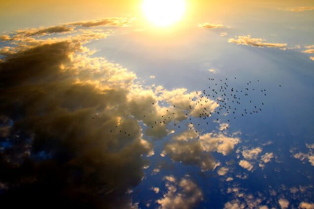 В Україну йдуть дощі і грози: з'явився прогноз погоди на вихідні