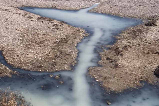 Всі мовчать! Ярий 'кримнашист' заістерив через катастрофу в Криму