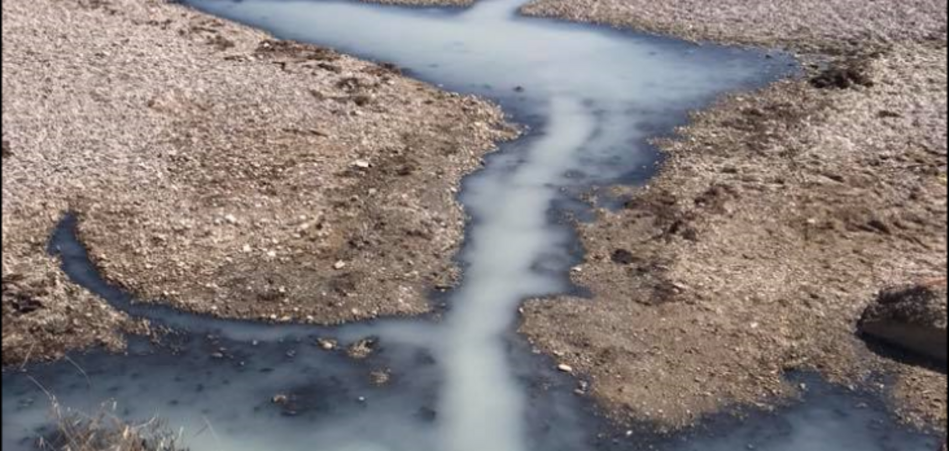 Всі мовчать! Ярий 'кримнашист' заістерив через катастрофу в Криму