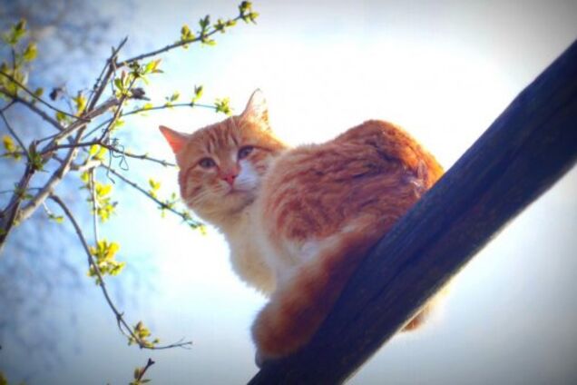 Синоптик предупредила о 'сюрпризе' в Украине