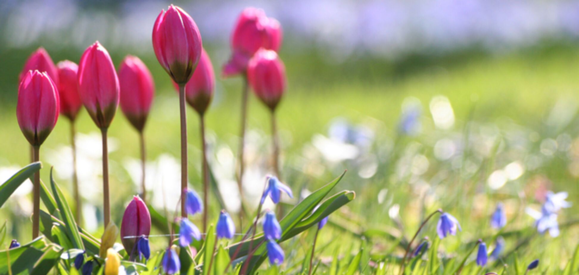 Погода в Украине