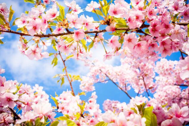 Прогноз погоди в Україні