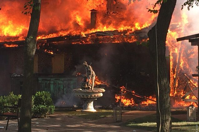 В парке Одессы вспыхнул мощный пожар: есть видео