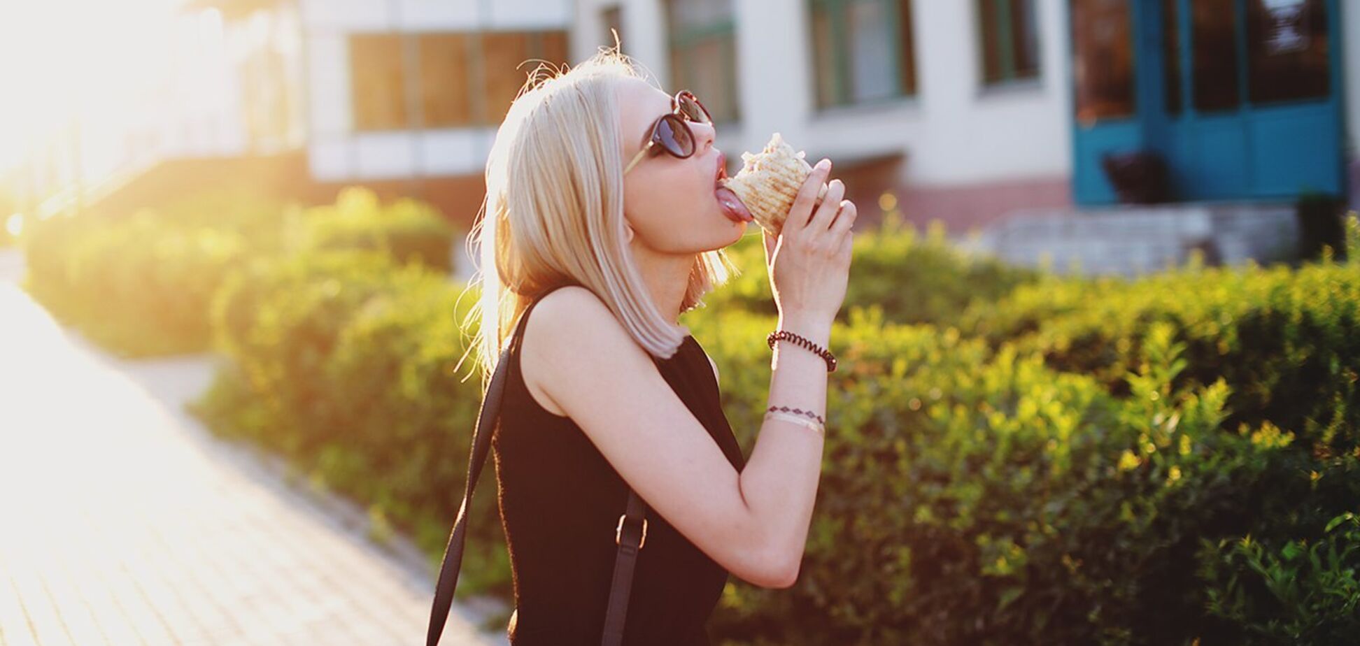 Російські вчені навчилися перевіряти шаурму на котятину