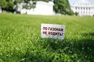 Газон как символ совковой ментальности