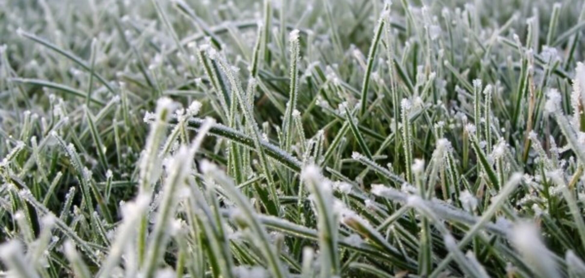 В Украину идут заморозки: синоптик дала прогноз погоды