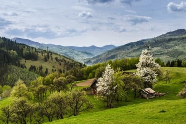 Відпочинок в Україні - то і сльози, і сміх...