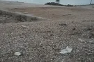 Всепоглащающий трындец: во что россияне превратили Крым