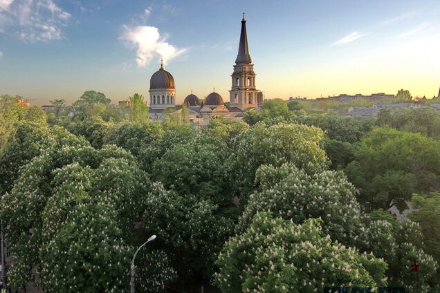 Одесса в каштанах: опубликованы потрясающие фото