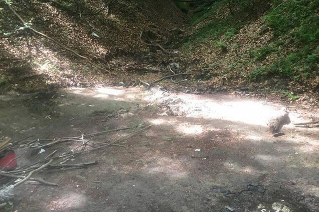 Невыносимая вонь и мухи: очевидцы показали фото лагеря ромов во Львове