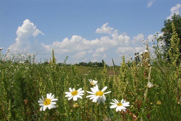 Погода в Україні