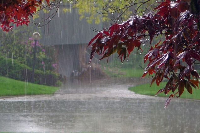 Дощі і вітер: синоптик повідомила про різке погіршення погоди в Україні