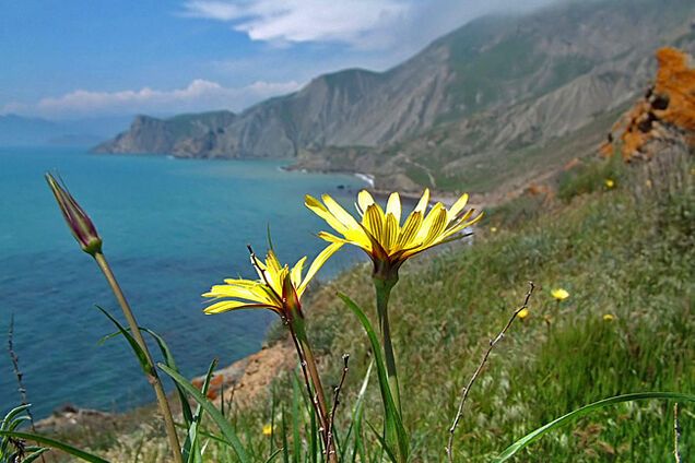 Кого накормит Крым