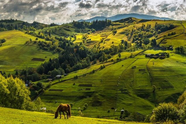 После 2014-го отчетливо понимаешь, с кем ты одной крови