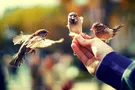Зрелость - знать, что все мы примитивные животные
