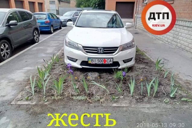 Рваная рана и сотрясение мозга: в Полтаве 'герой парковки' жестоко избил мужчину