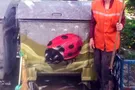 В Киеве художник нарисовал граффити на мусорке, чтобы поддержать дворника
