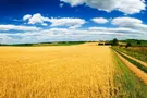 Пустыня в Украине