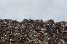 Город на грани катастрофы: на Львовщине жителей завалило мусором