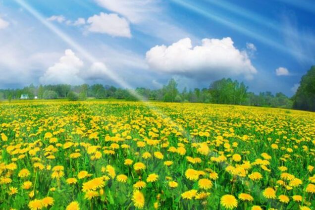 Погода в Україні