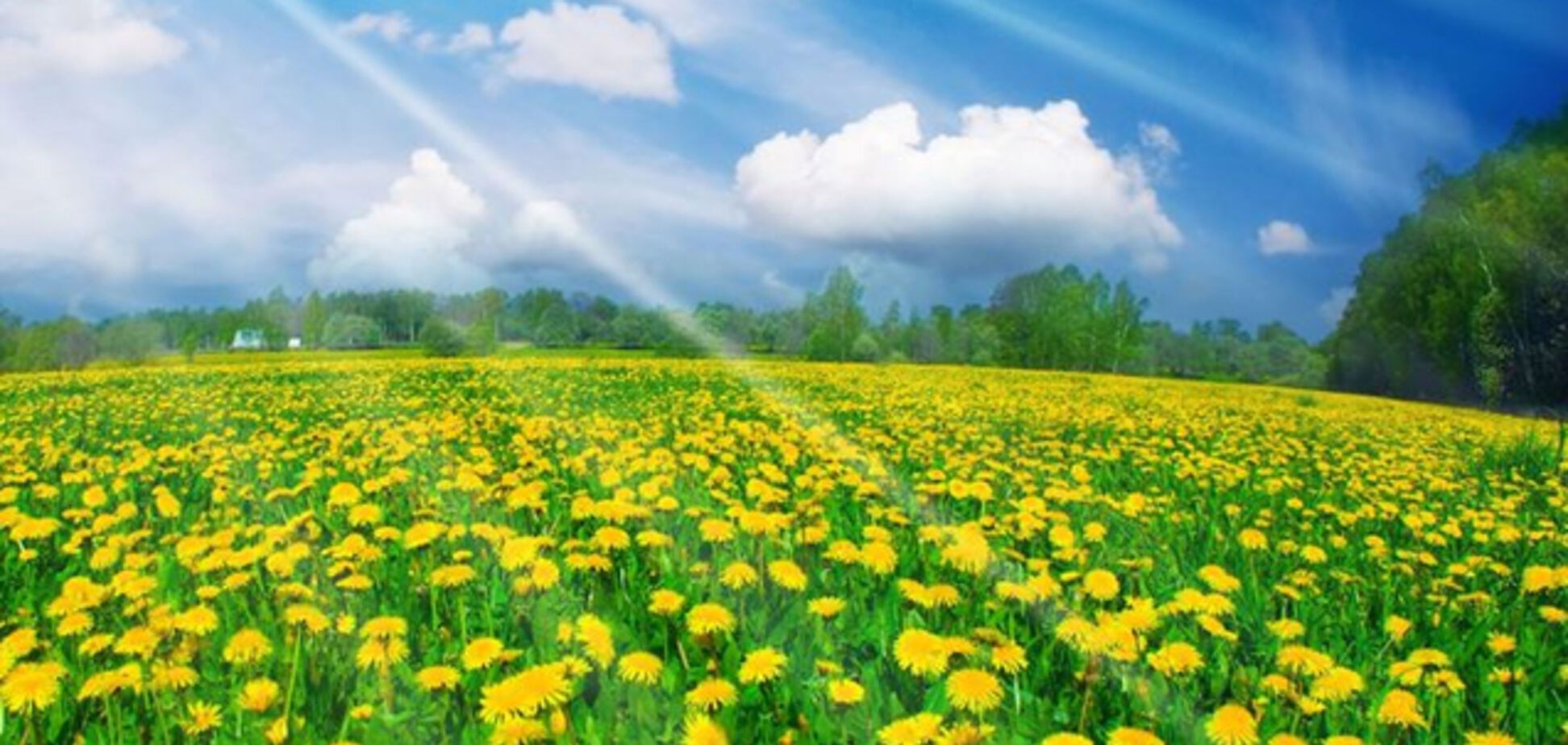 Погода в Україні