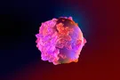 Ученые нашли эффективный способ лечения смертельного рака