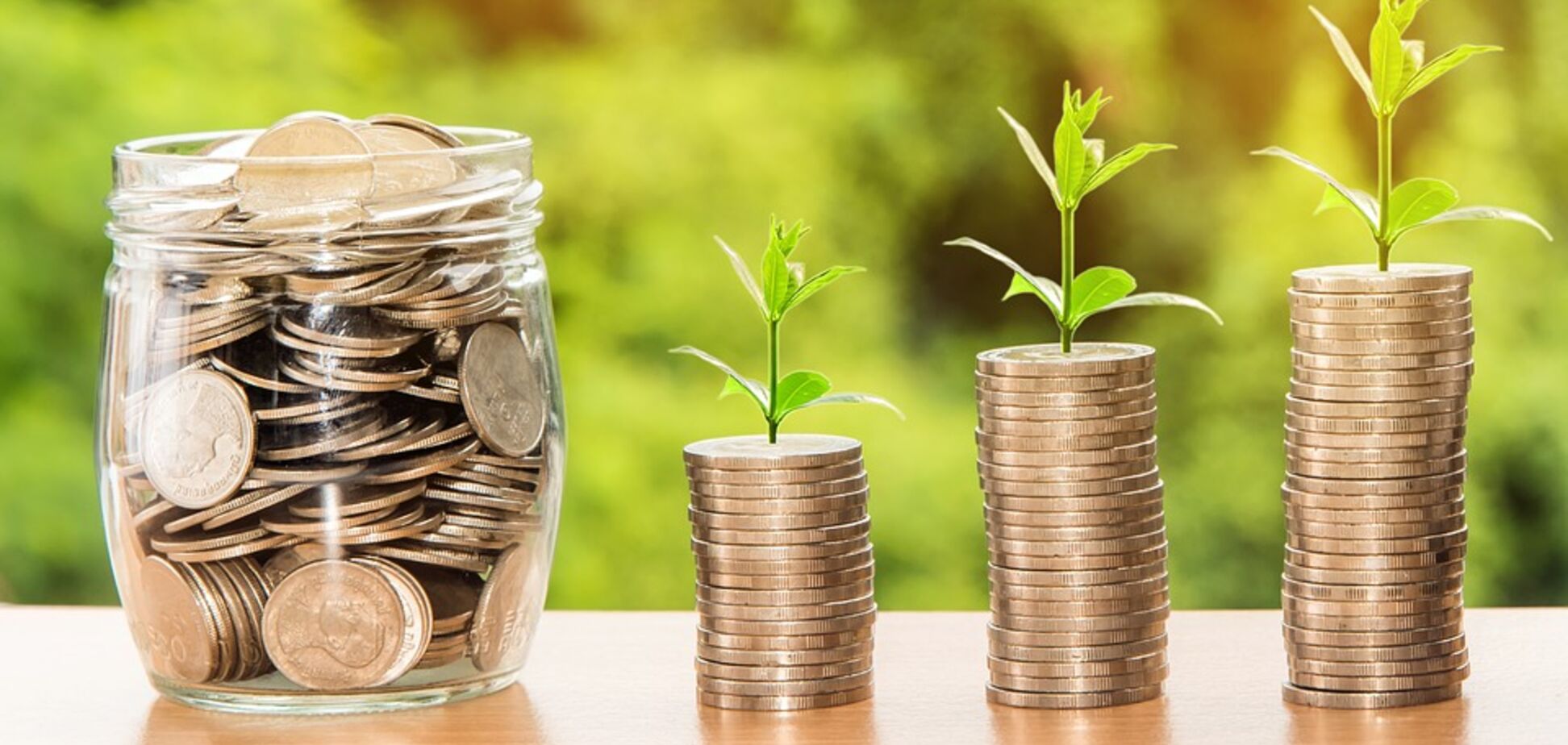 Проект бюджетної резолюції