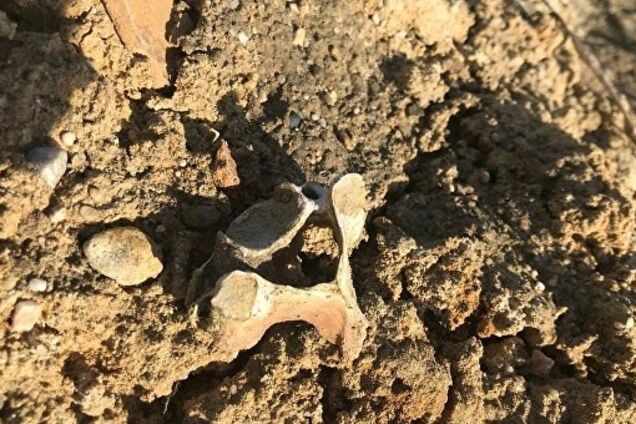 Штукатурили костями пленных: росСМИ выдали жуткую страшилку об Украине