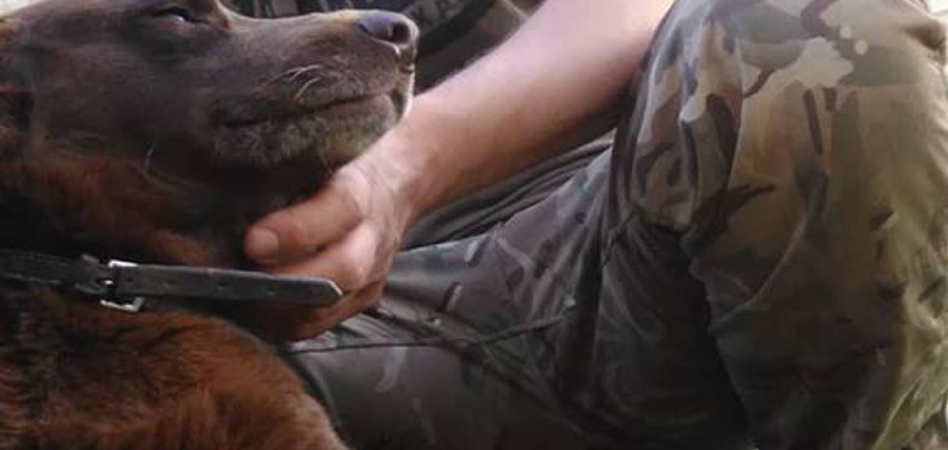 У Києві банда в масках напала з ножем на 'кіборга': всі подробиці