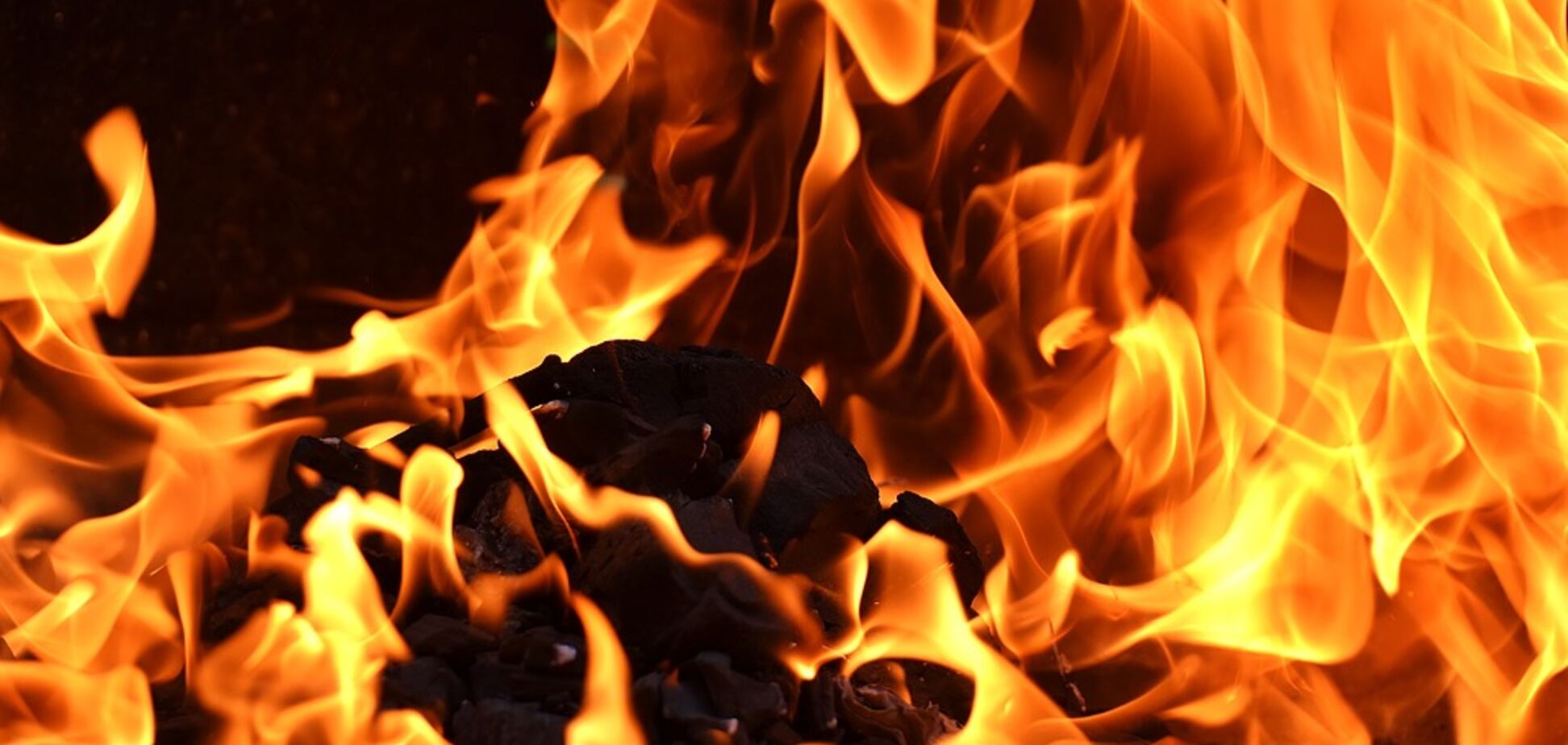 Жара в Киеве: спасатели предупредили о надвигающейся опасности