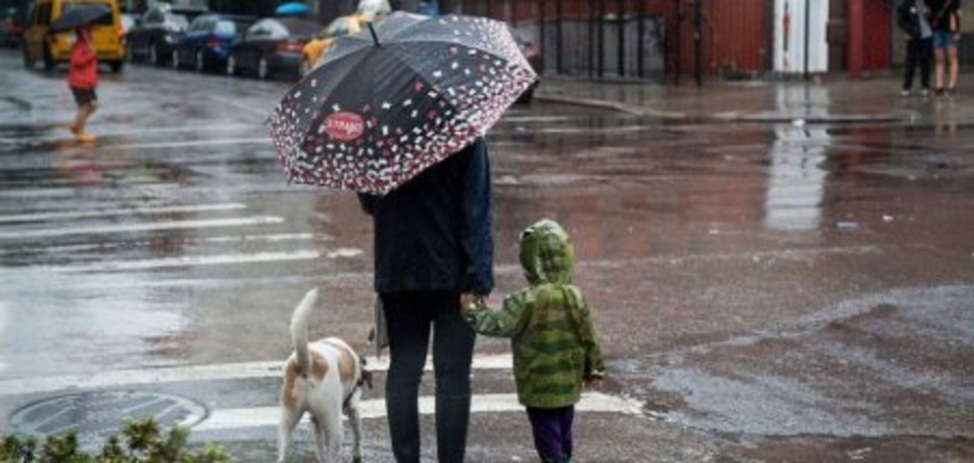 Синоптики уточнили прогноз погоди в Україні